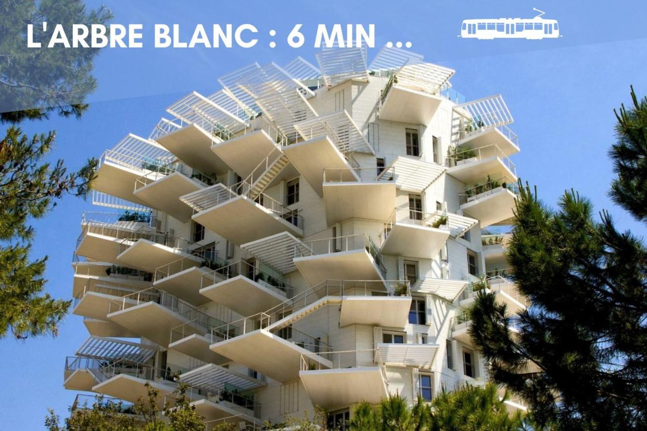 Nouveau - Jungle Montpeul - Clim - Wifi Fibre - Netflix - 5' Du Centre Et Gare - Parking - Loggia - 15' Des Plages 몽펠리에 외부 사진